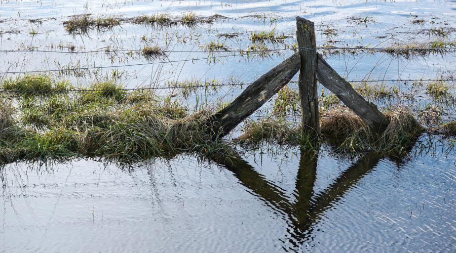 Farmers affected by flooding will receive payments from next week – Farmers Guide