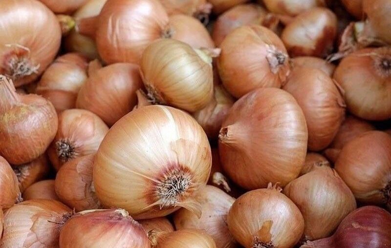 Farmers dump onions amid glut of imported bulbs