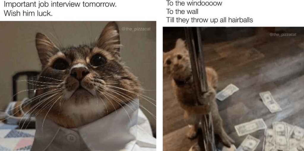 Feline Family Friday: Our Hilarious House Cats' Cute and Clawminal Activities from the Past Week, Captured in 25 Marvelous Memes