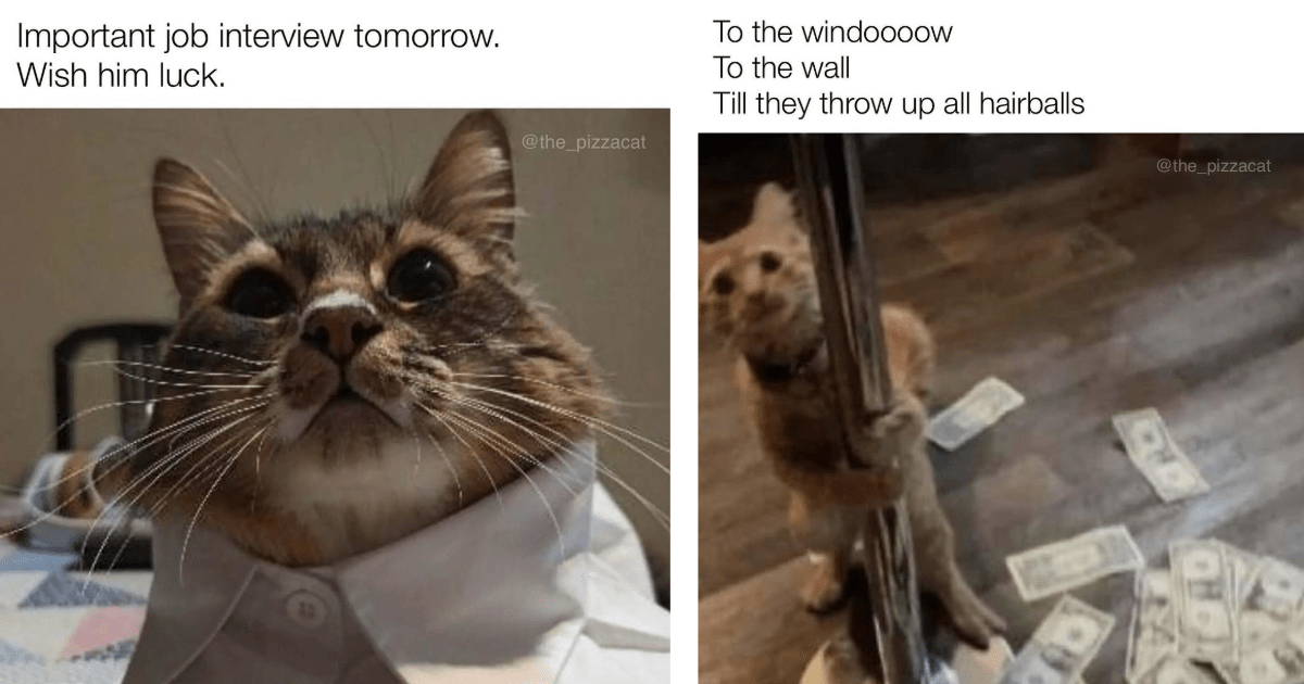 Feline Family Friday: Our Hilarious House Cats’ Cute and Clawminal Activities from the Past Week, Captured in 25 Marvelous Memes