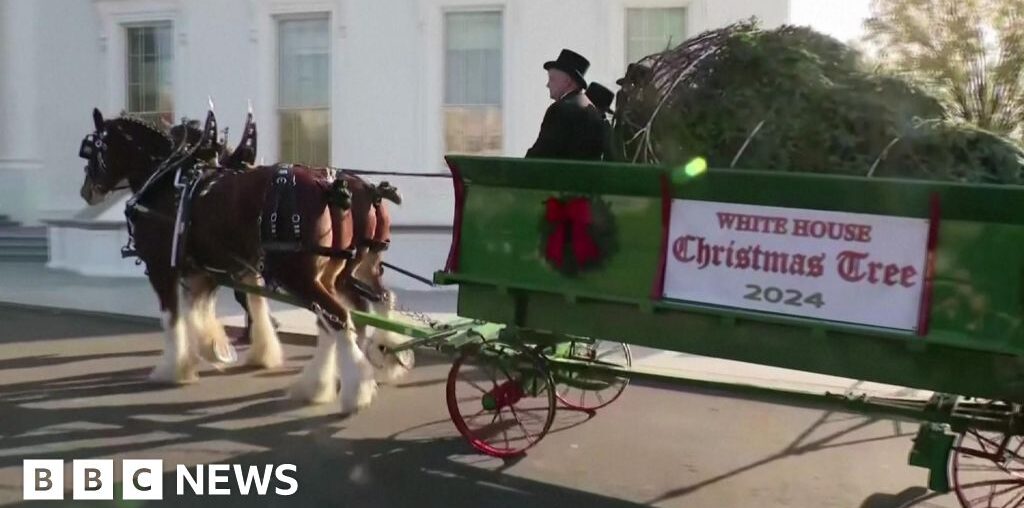 First Lady receives White House Christmas tree