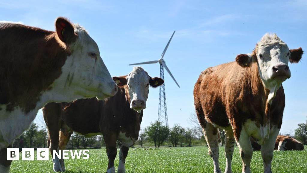 Flatulence tax: Denmark agrees deal to tax farmers for livestock emissions