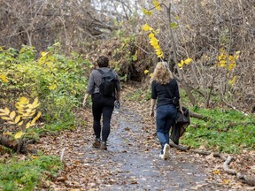 Forest users say Falaise St-Jacques remains safe despite city closure