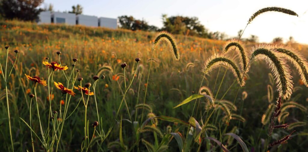 Forge Project’s land remediation project is about restoring the relationship between its site and history