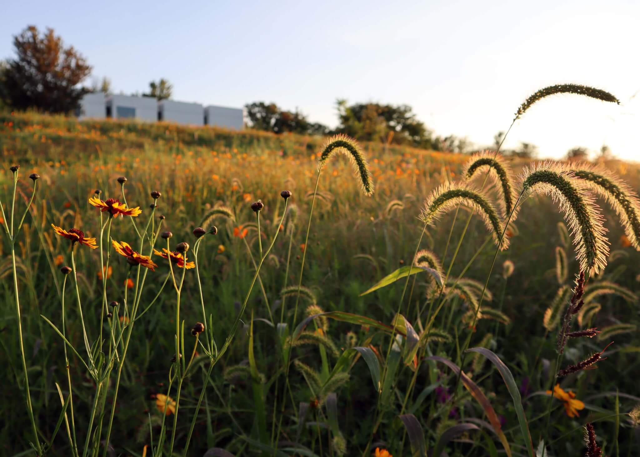 Forge Project’s land remediation project is about restoring the relationship between its site and history