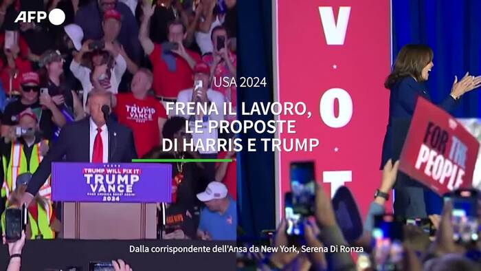 Frena il lavoro, le proposte di Harris e Trump – Video – Ansa.it