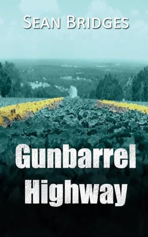 GUNBARREL HIGHWAY | Kirkus Reviews