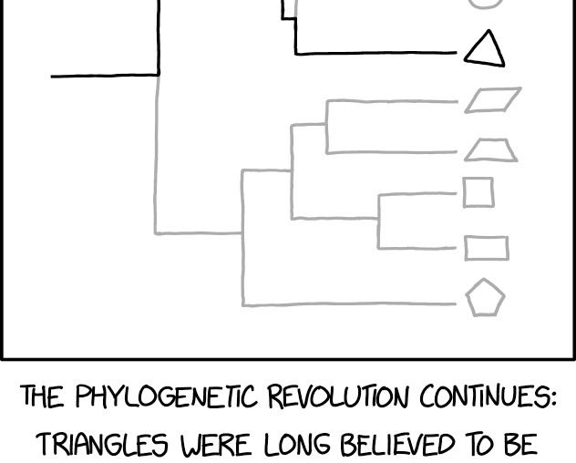 Geometriphylogenetics