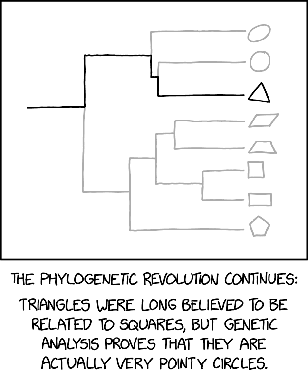 Geometriphylogenetics