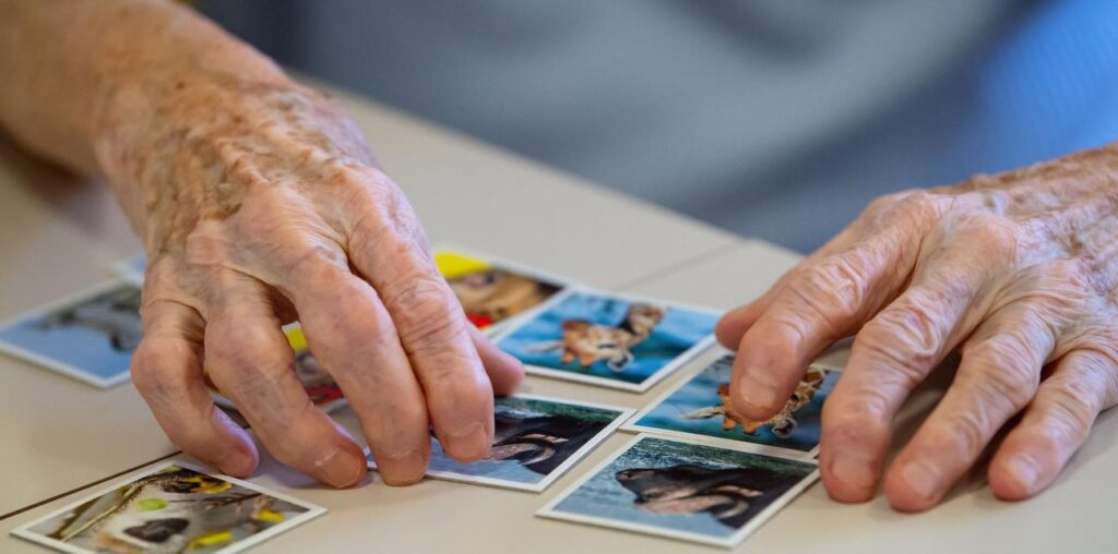 Gesundheit: Erste Alzheimer-Therapie in EU zur Zulassung empfohlen