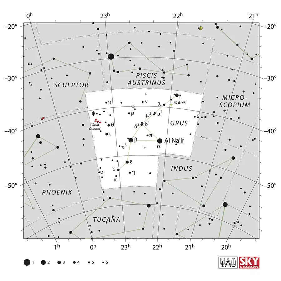 Get to Know the Southern Constellation Grus, the Crane