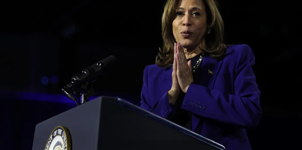 Harris ripped for 'word salad' after heckler interruption during campaign speech: 'The gibberish never ends'