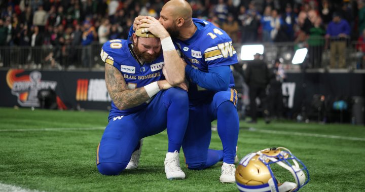 Heartbreak for Winnipeg Blue Bombers again in 3rd straight Grey Cup loss – Winnipeg | Globalnews.ca