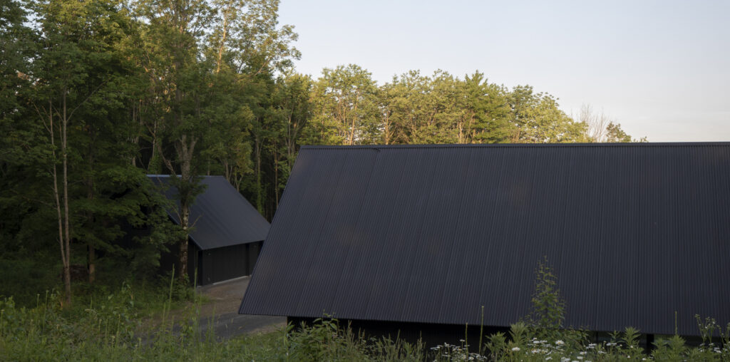 House in a Meadow / Group Projects Architecture