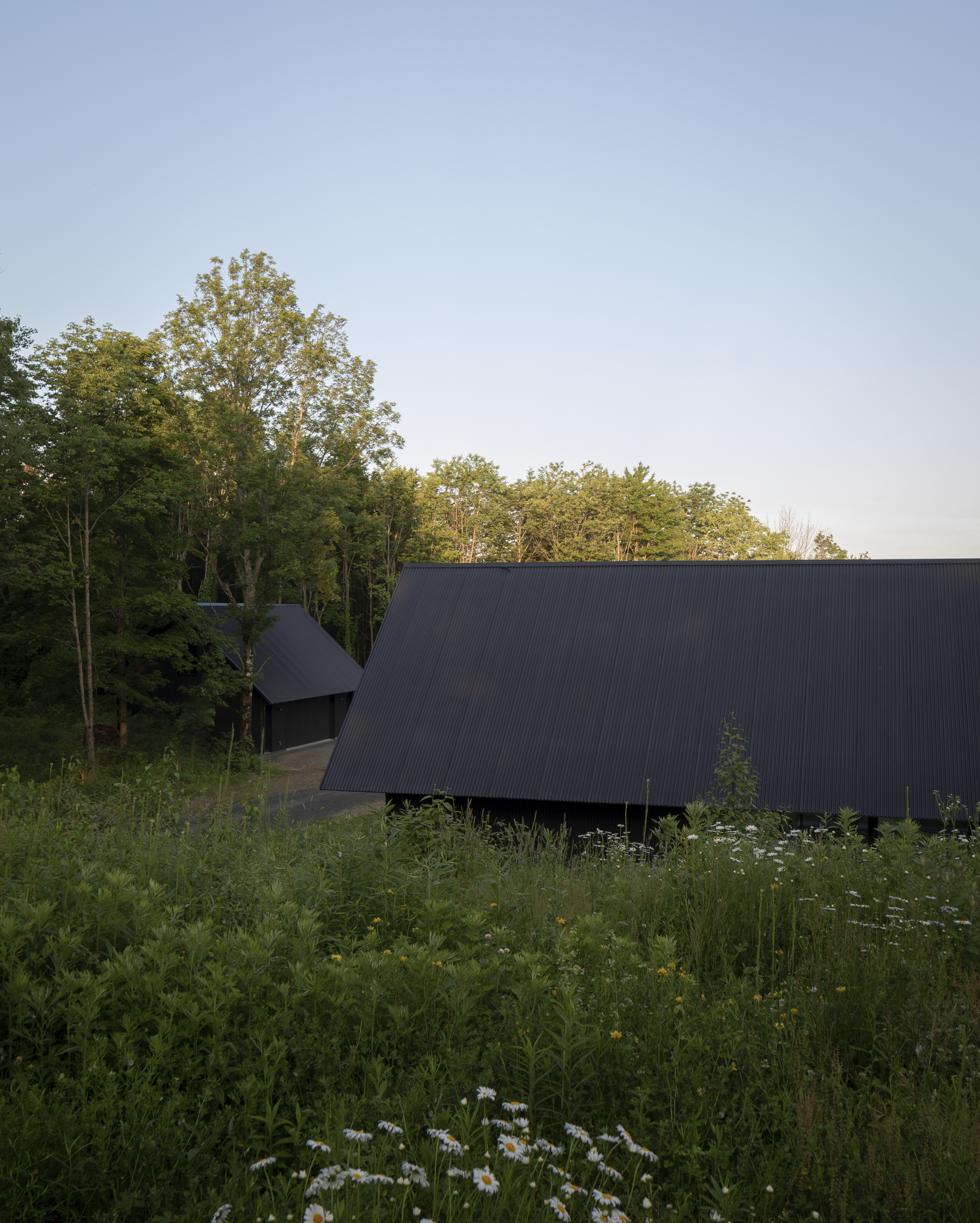 House in a Meadow / Group Projects Architecture