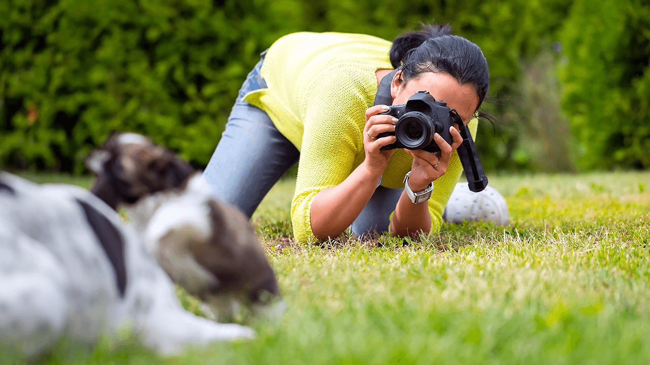 How to Start a Pet Photography Business