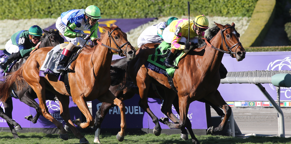 Hard To Justify with jockey Flavien Prat riding wins the Breeders' Cup Juvenile Fillies Turf at Santa Anita Park on November 3, 2023 in Arcadia, California.