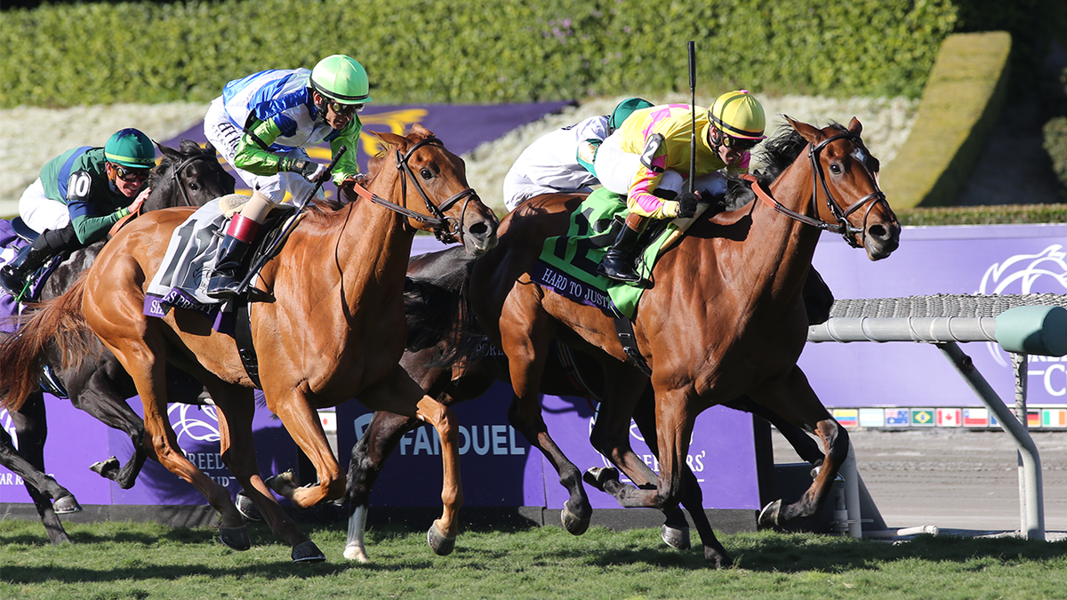 How to watch Breeders’ Cup 2024: free live streams for Del Mar Classic, race schedule