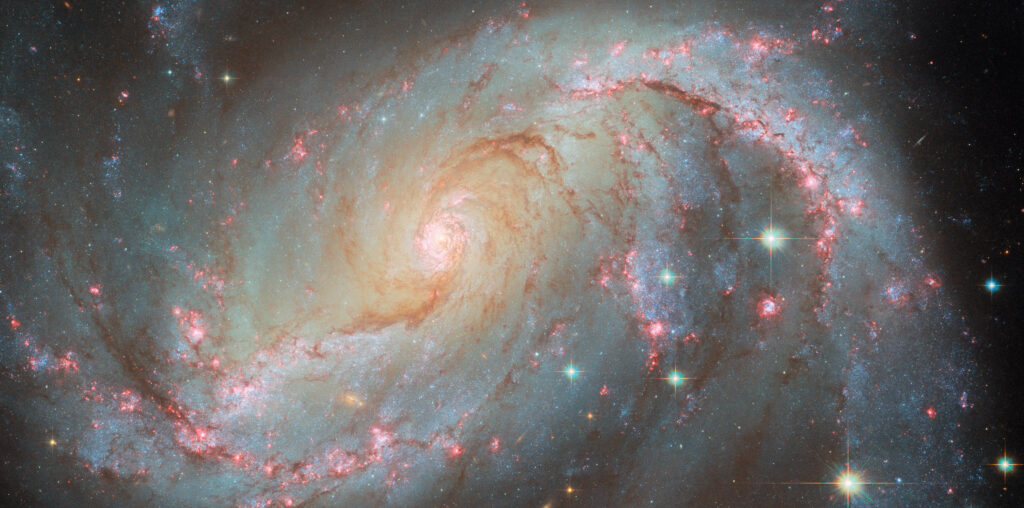 A spiral galaxy with an oval-shaped disk. Two large arms curve out away from the ends of the disk. Bright pink patches and dark reddish threads of dust fill the arms. The bright pink patches indicate where stars are forming. The core is very bright and filled with stars. Some large stars appear in front of the galaxy. Directly under the point where the right arm joins the disk, a fading supernova is visible as a green dot.