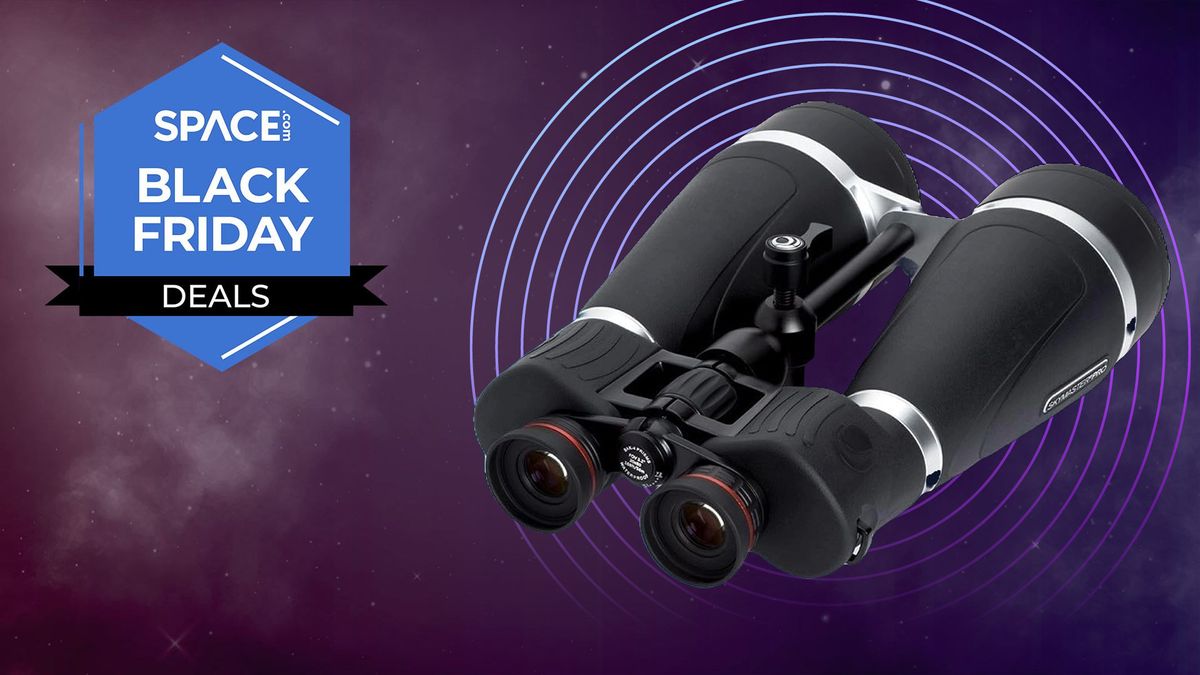 I have found the lowest price in six months on these Celestron binoculars