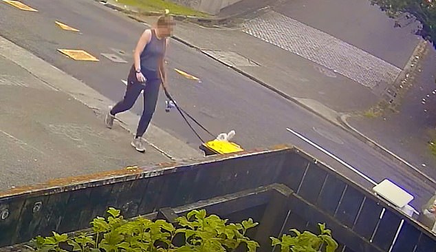 A woman who put her dog's poo in a recycling bin in Wellington (pictured) has revealed the online 'harassment' she has received after footage of the act was posted on Facebook