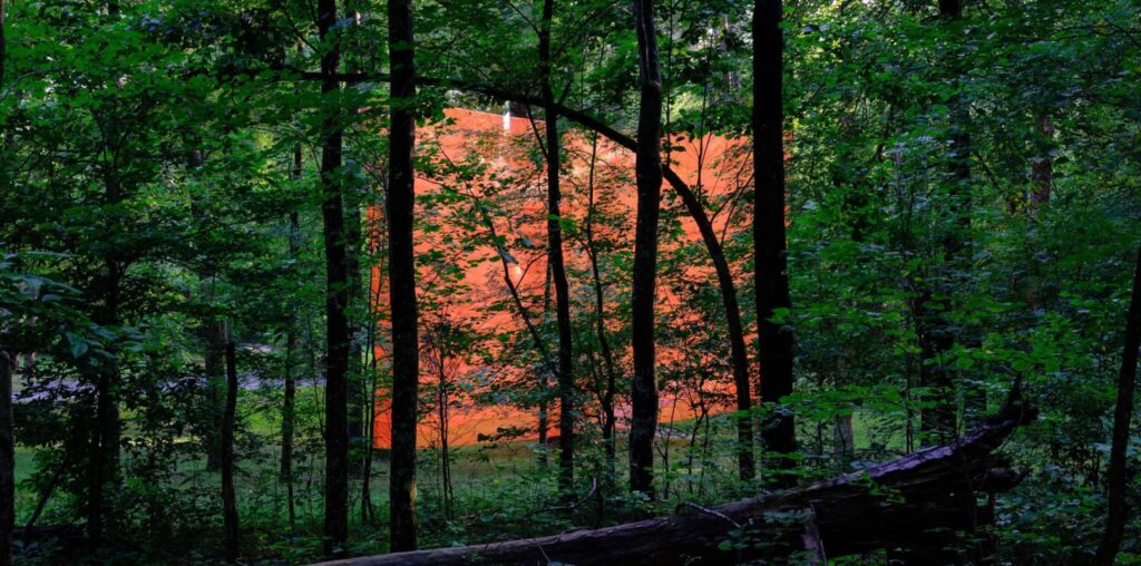 In Kentucky, DOMM wraps trees in netting to create a forest courtyard