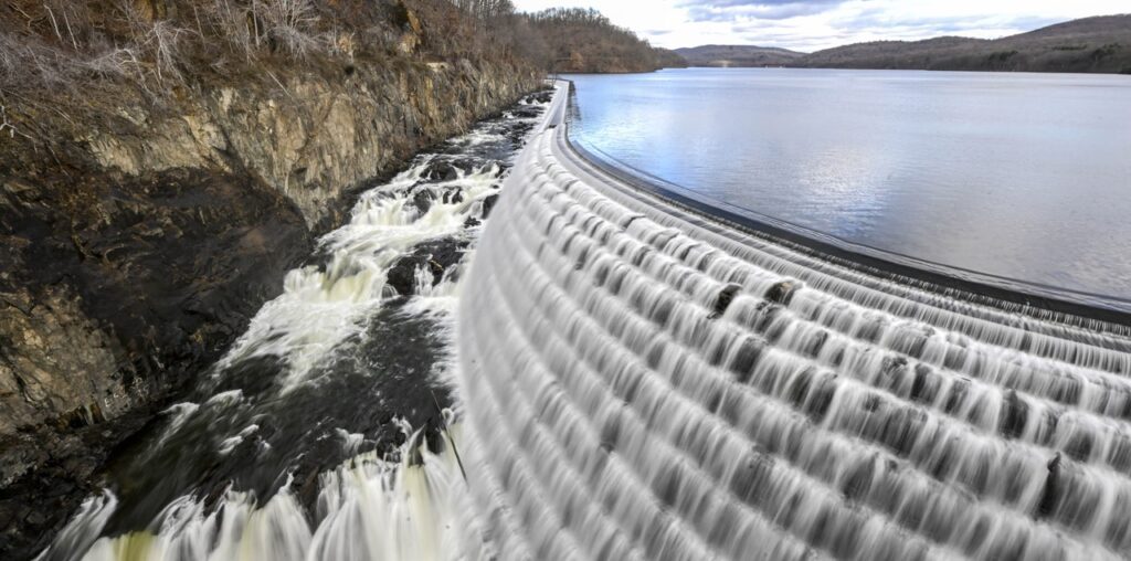 Invasive Species Are Threatening the Quality of New York’s Tap Water