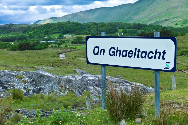 Irish language can become a factor of integration for migrants, study finds