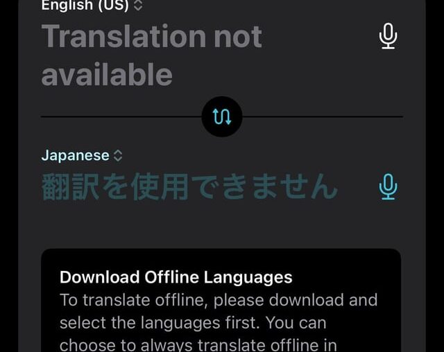 Is there a fix for the translate app? It deletes downloaded languages almost immediately after downloading them to the point the app is completely useless.