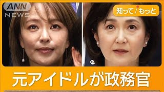 Ishiba Cabinet Appoints Former Idols as Parliamentary Secretaries