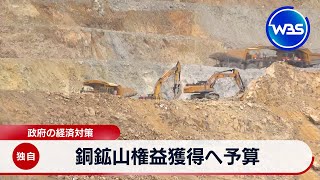 Japan Allocates Budget for Securing Copper Mine Interests