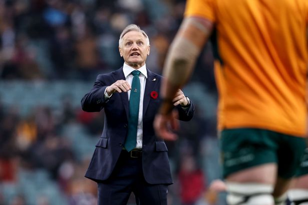 Joe Schmidt and Andy Farrell to meet again, master and former assistant lock horns as equals in Dublin next Saturday