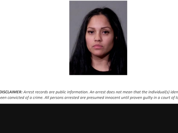 Joliet Woman Goes Berserk With Knife, Lands In Jail: Joliet PD