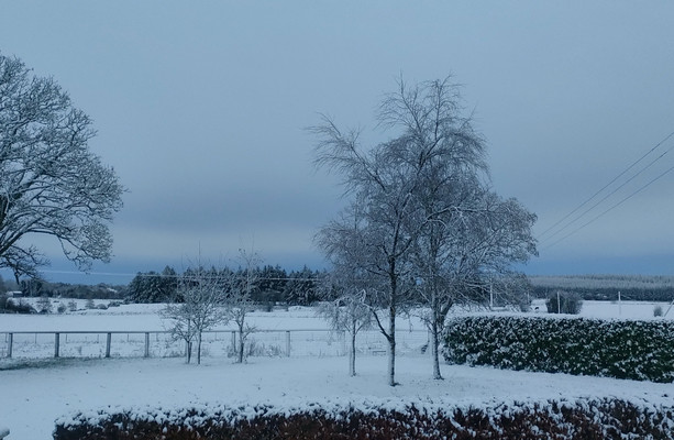 LIVE: Transport impacted across West, Midlands and South-West with lying snow in some areas