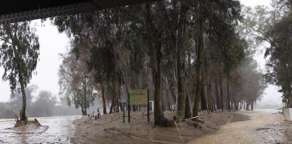 La DANA golpea de lleno Málaga con calles anegadas y miles de desalojados: 'Nos vamos y que sea lo que Dios quiera'