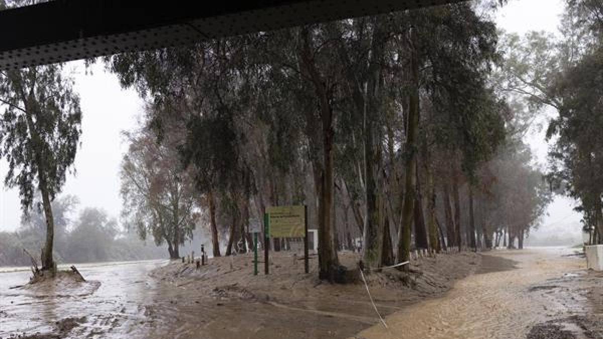 La DANA golpea de lleno Málaga con calles anegadas y miles de desalojados: ‘Nos vamos y que sea lo que Dios quiera’