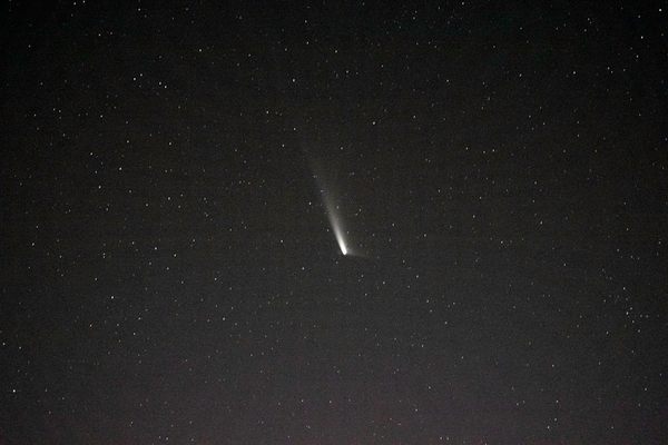 Long Seen as Omens, Comets Do Tell Us Something About Ourselves