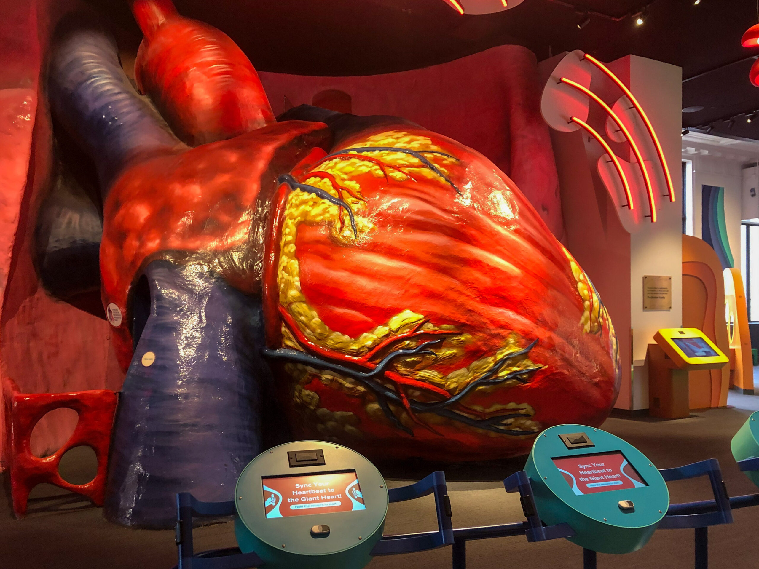 Look inside: Franklin Institute’s Giant Heart reopens with new immersive exhibits