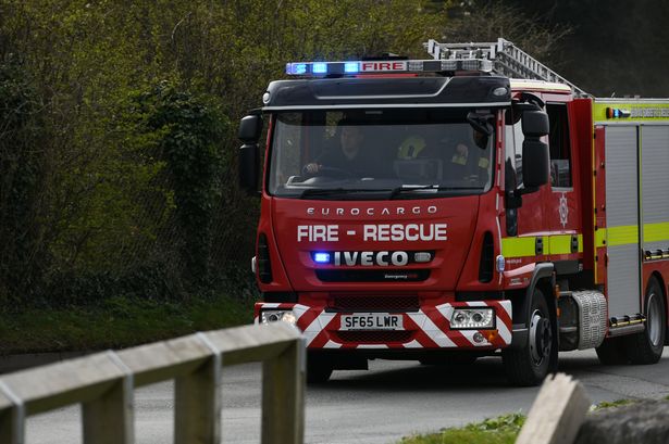 Man and dog rescued from fire at West Park flat