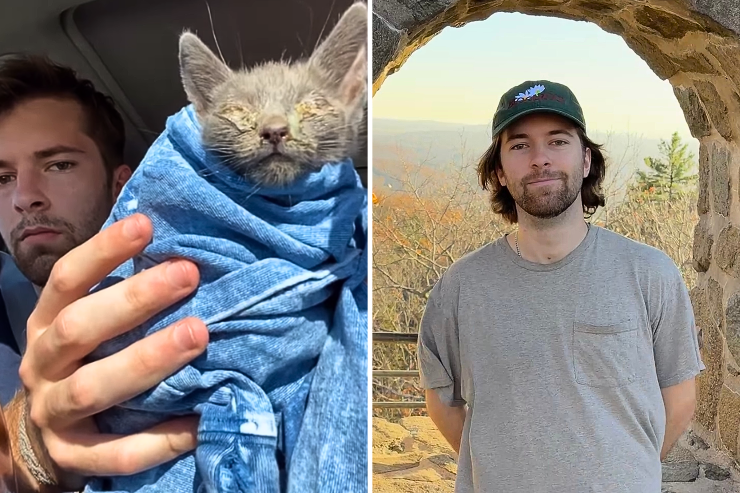 Man’s solo road trip takes unexpected turn when he finds sick kitten