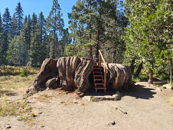 Mark Twain stump