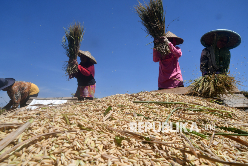 Menko Pangan: Perlu Petani Milenial agar Sektor Pertanian Tidak Menua |Republika Online