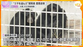 Monkey Caretaker Accused of Stealing Feed at Osaka Zoo