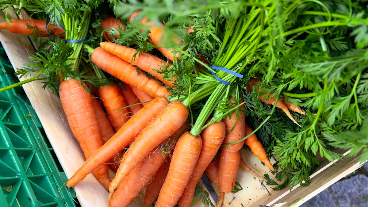 Multiple E. coli infections over 18 states, 1 death linked to organic carrots