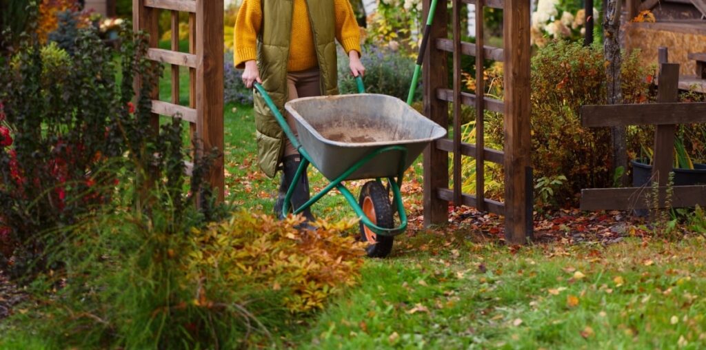 My 11 Favorite Tools for Fall Yard Clean-Up