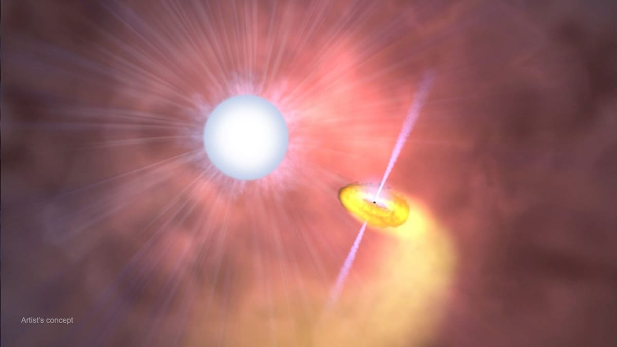 NASA, JAXA’s Joint XRISM Mission Finds Detailed Data from an X-Ray Emitting Star