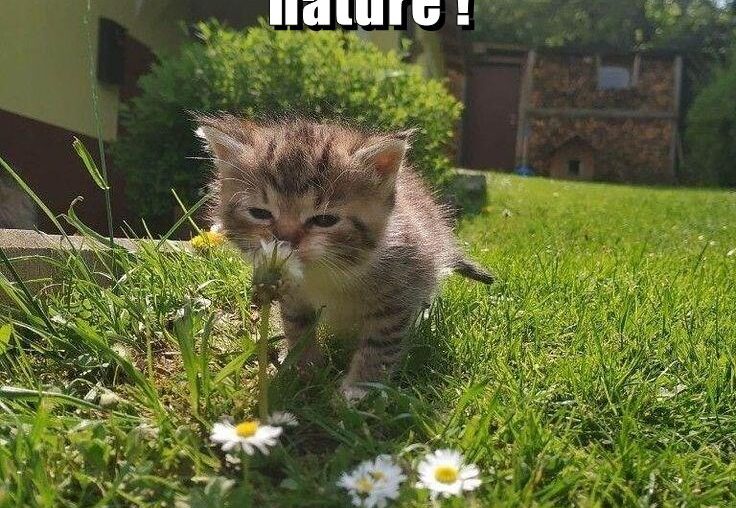 Not impressed with nature !