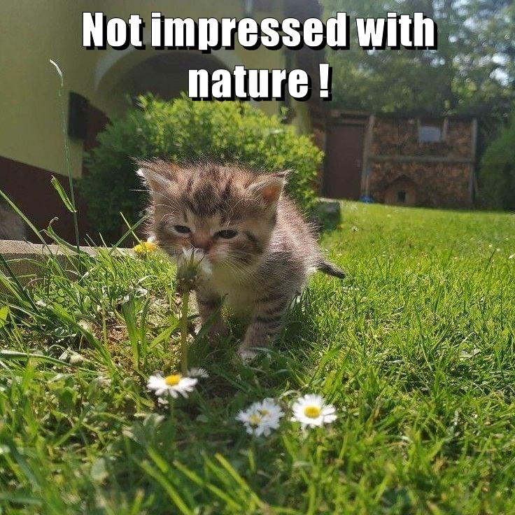 Not impressed with nature !