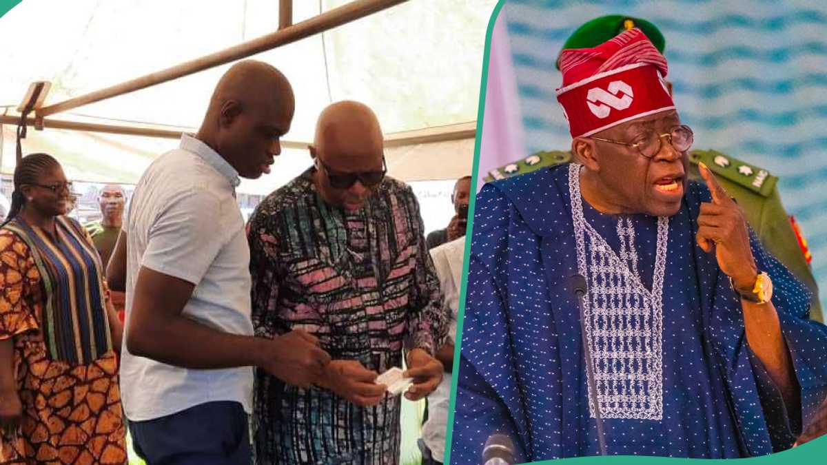 OndoDecides2024: Tinubu ‘ll not interfere in Ondo election – ZLP candidate