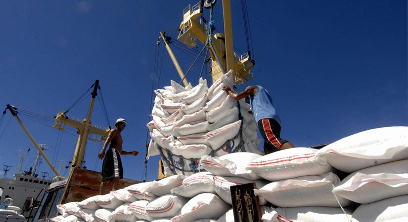 PH Skyrocketing Rice Imports: A Call for Organic, Food Sovereignty